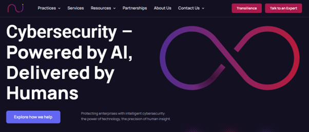 Network Intelligence for cybersecurity protection